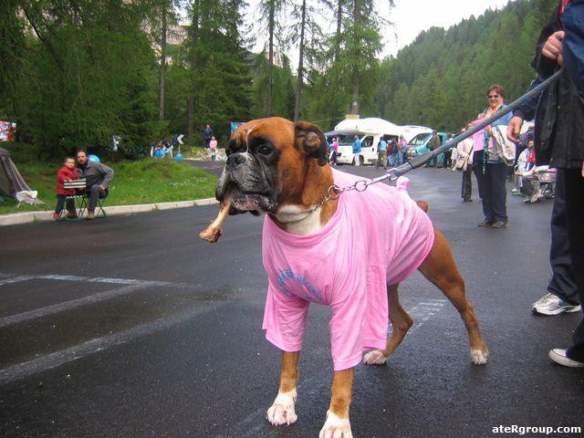 Giro Italia 2007